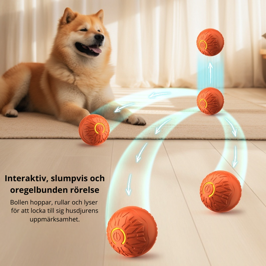Automatisk interaktiv hoppande boll - för katt eller hund